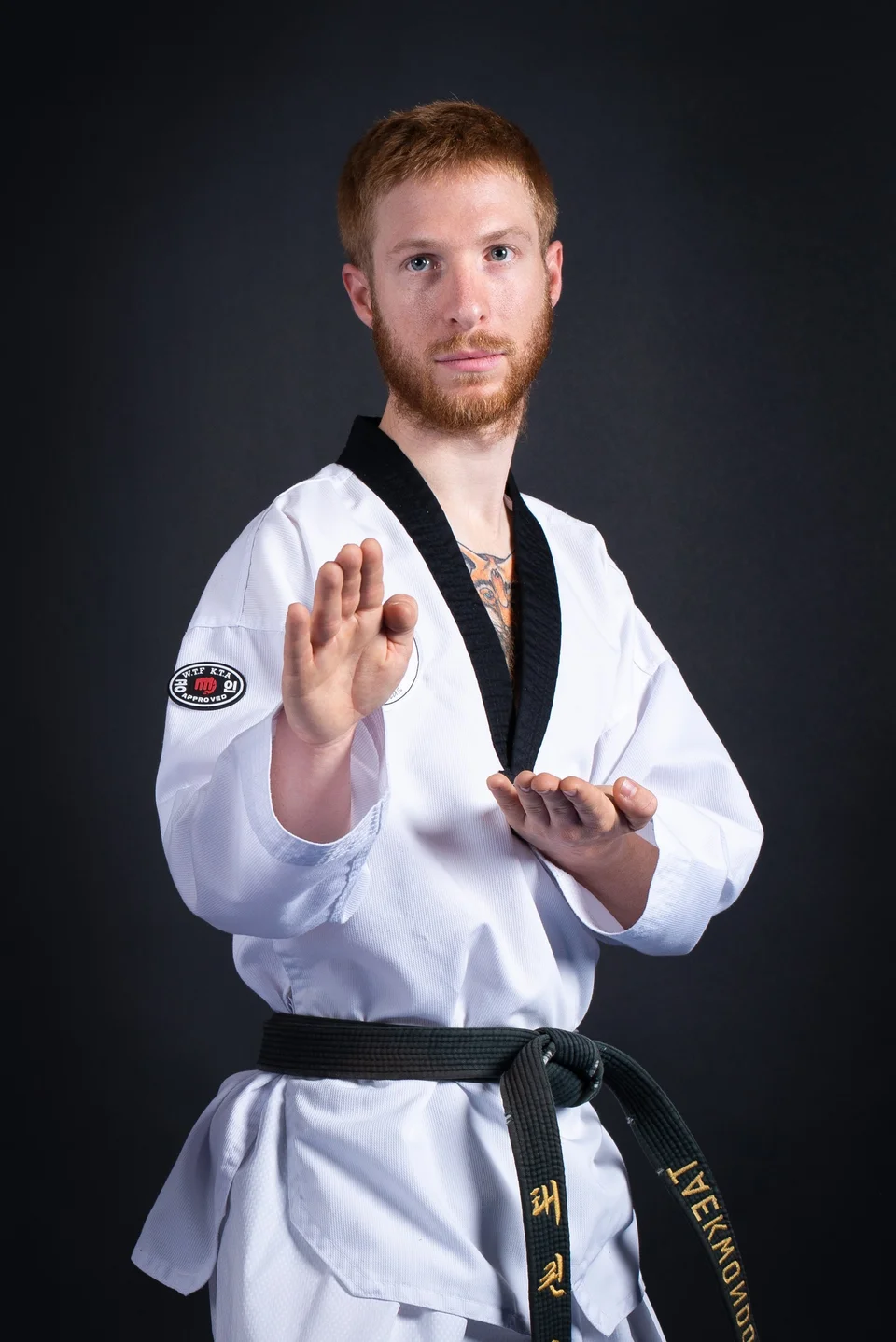 Hansonnal bakkat makki — technique de Taekwondo